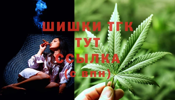 трава Наволоки