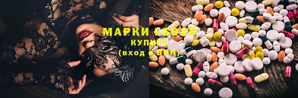 трава Наволоки